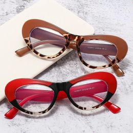 Sunglasses Frames Fashion Vintage Cat's Eye Glasses Designer Oval Frame Personality Candy Color Ladies Trend Women