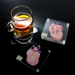 Anatomic Heart Specimen Coasters Heart Slice Anatomy Acrylic Square Coasters Beverage Cup Mat Home Bar Kitchen Decor Party Favour 210316 251c