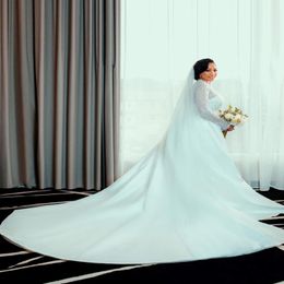2021 Plus Size Arabic Aso Ebi Lace Beaded Mermaid Wedding Gowns Deep V-neck Long Sleeves Detachable Train Bridal Dresses ZJ774 270t