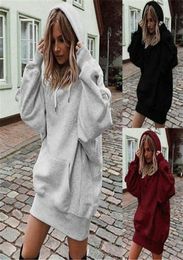 Women Autumn Winter Oversized Solid Color Hoodies Sweatshirt Ladies Loose Casual Plain Hooded Jumper Dress With Pockets T2005252376026