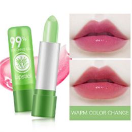 Aloe Vera Lip Balm nawilżanie i odbarwianie Kiss Beauty Promocja wegańska zmiana koloru wargglossowego Wzbogacona o wyciąg z aloesu szminka aloe vera do ust
