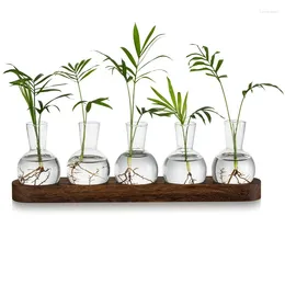 Vases Plant Terrarium Propagation Station Glass Planter Bulb Vase With Wooden Tray Modern Bud For Office