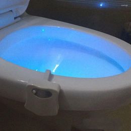 Toilet Seat Covers Selling Intelligent Bathroom Night Light Creative LED Colour Induction Lighting Sensor