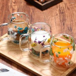 Mugs Dried Flowers Double Layered Glass Glasses Office Bar Home Coffee Cup Cold Drink With Handle Flower Decor