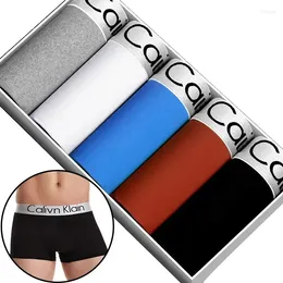 Underpants Letter Flexible Male Men Underwear Breathable Boxer Man 5pcs/lot Printing Mens Panties Sexy Shorts Boxershorts