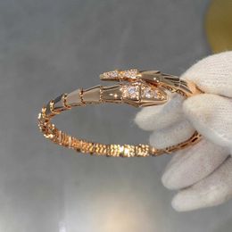 Vintage highend jewelry Bvlgrily bracelet for loved ones Golden Snake Bracelet High Quality 18k Rose Gold Head and Diamond with D29H