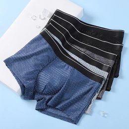 Underpants Men Ice Silk Mesh Underwear Sexy Comfortable Male Boxers Boxershorts Soft Breathable Briefs Shorts Knickers