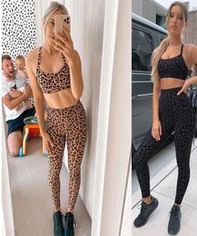 Fashion Women Leopard Tracksuits New Arrival Yoga Exercise Treadmill Ms Tight Leopard Twopieces Sets Workout Clothes269o6165496