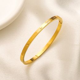 bracelet designer love bangle rose gold bracelets for women 18K Gold Plated Summer Travel Romantic best friend fahlo animal Waterproof High Quality Waterproof