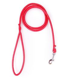 2020 New Dog Leashes Strong PU Leather Soft Small Size For Dog Chihuahua Walking Collar Leads Candy Colour Pets Product Supplier2214094399