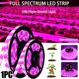 LED USB植物成長ライトストリップ5V 60LEDS/M UV PHYTOランプフラワーグリーンハウス栽培水耕栽培ランプフルスペクトル成長光