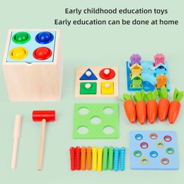LIQU Montessori Wooden Toys 5 for 1 Set with Magnetic Fishing Game,Multiple Shape Puzzles,Catching Worm Toy,Pounding and Hammer