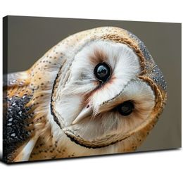 Canvas Print Wall Art White Owl with Twisted Head Animals Wildlife Realism Rustic Cool for Living Room, Bedroom, Office