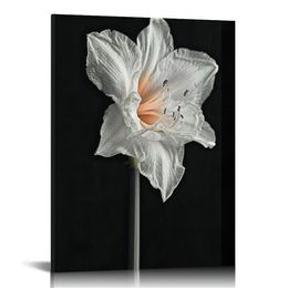 Black and White Flower Canvas Art Tulip Calla and Narcissus Picture Prints Floral Painting for Modern Wall Decor Framed Ready to Hang