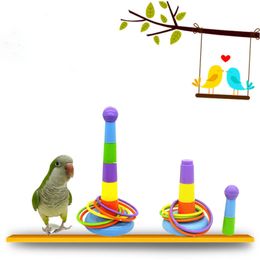 1Set Colorful Rings Adjustable Development Interactive Game Pet Supplies for Parrot Mini Ferrule Toy Activity Training Tools