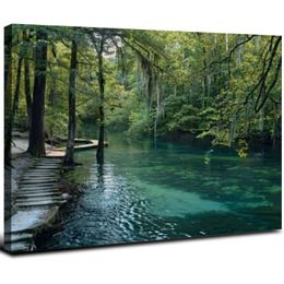 Canvas Wall Art Prints Florida Fress Water Springs Plaging Hole Paintings Плакат