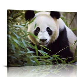 Panda Canvas Prints Wall Pictures Pictures Decor Decor Pacsters Печать, современный офис домашний детский декор.