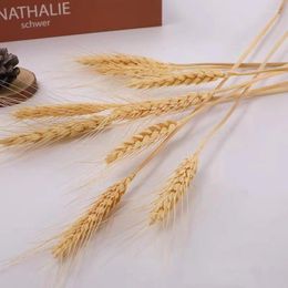 Decorative Flowers 50Pcs Real Wheat Ear Natural Dried Gift For Girlfriend Country Wedding Decoration High Quality Artificial Plants