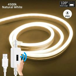 LED Neon Lights Strip DIY Neon Sign Motion Sensor 5V USB Dimmable Flexible Rope Lamp Tube IP65 Waterproof For Home TV Backlight