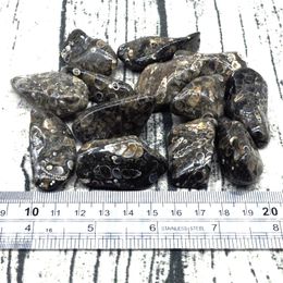 Natural Turitella Agate Gravel Specimen Size Irregular Tumbled Stones Reiki Healing Crystals Quartz Mineral Home Aquarium Decor