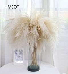 Pampas Grass Home Decor Reed Whisk Dried Flower Daisy Wedding Arrangement Christmas Plants Material Artificial Flowers 25pcslot 26502130