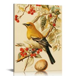 Antique Bird Poster Wall Art Print,Bird Art Prints,Photos Make Great Room Wall Decor Gift.