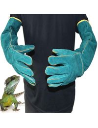 Animal Falcon Handling Gloves Bite Proof For Catch Dog Cat Reptile Snake Antibite Protective Gloves JK2012KD2669098
