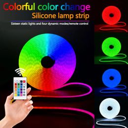 1m 3m 5m USB 5V LED Neon Lights RGB Flexible Waterproof Neon Sign Linear 24-Key Remote Control For Indoor Outdoor Bedroom Living Room Ceiling Decorative Lights