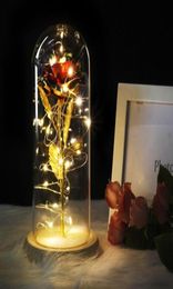 Medium Red Rose In A Glass Dome On A Wooden Base For Valentine039s Gifts LED Rose Lamps Christmas9391783