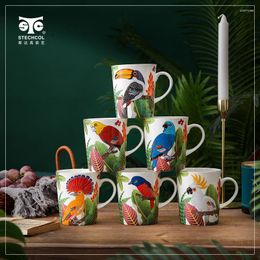 Cups Saucers Tropical Bird Mug Bone China Large Capacity Men And Women Water Cup Birthday Gift
