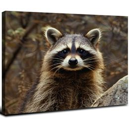 An Bronw Raccoon Canvas Wall Art For Living room Bedroom Office Landscape Poster Prints Wall Decorations