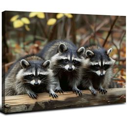 Raccoon Canvas Prints Pictures Wall Art Living Room Bedroom Kids Room Decor Animal Photography Photo Poster Painting Printing