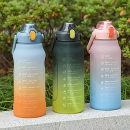 Water Bottles Safe Sports Bottle Translucent Storage Food Grade Carry Handle Gym Cup