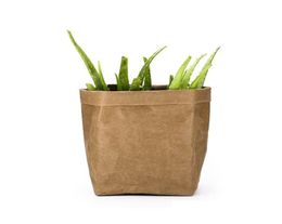 2021 Kraft Paper Bags Plant Stand Washable Flower Planter Succulent Pot Indoor Plants Holder Home Kitchen Basket Paper Bags3374667
