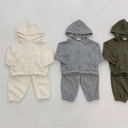 Clothing Sets Ins Boys And Girls Korean Version Of Autumn Style Japanese Simple Waffle Hooded Cardigan Jacket Pants Casual Suit