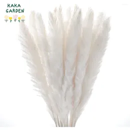 Decorative Flowers Natural Pampa Grass Bouquet Home Decor Dried White Plumes Reed Autumn Wedding Decoration Real Small Bulrush Office Table