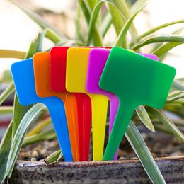 16Pcs Plastic T-type Garden Plant Labels Gardening Flower Tags Greenhouse Nursery Seedling Tray Markers Mix Colors