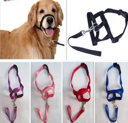 Dog Collars Leashes Adjustable Creative Halter Training Head Collar Gentle Leader Harness Nylon Breakaway Leash Lead No Pull Bit9676161