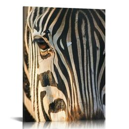 Framed Canvas Wall Art Zebra Animals Dramatic Farmhouse/Country Living Room Multicolor Photography Zebra - 16x20 inches