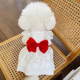 Dog Apparel Ins Summer Clothes Wedding Dress Bow Lace Teddy Bichon Cat Hawaiian Cute Dresses