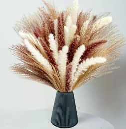 60Pcs Natural Dried Pampas Grass Boho Decor Fluffy White Pompous Reed Bunny Tail Wheat Stalk Decorative Wedding Flower Bouquet2914365