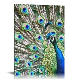 Canvas Wall Art Proud as a Peacock Pictures Prints Poster Animal Home Decor Modern Artwork for Walls Office Wall Decor Framed Ready to Hang