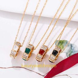 Classic Fashion Bolgrey Pendant Necklaces Snake Series Necklace Womens V Gold Lock Bone Chain Agate shaped Light Luxury