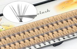 False Eyelashes 60 Bundles Big Capacity 6d 10D Eyelash Extensions 01mm Thickness True Mink Strip Individual Lashes Natural Style3186022