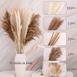 Decorative Flowers Pampas Grass Tail Natural Dried Reed Bouquet For Bohemian Wedding Party Room Home Decoration Phragmites