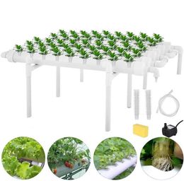 3654 Holes Hydroponic Piping Site Grow Kit Deep Water Culture Planting Box Gardening System Nursery Pot Hydroponic Rack 2106152388384