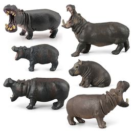 Action Figures Simulated Solid Hippopotamus Wildlife World Figurine Model Toys 6pcs/set Collect
