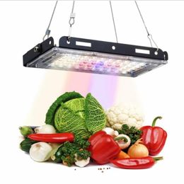 Grow Lights Full Spectrum LED Light 800W Phytolamp For Plants Home 3500K 5500K Phyto Lamp Indoor Flower Vegs Greenhouse Bonsai Planting 231R