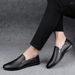 Casual Shoes Fashion Genuine Leather Men Brand Italian Flats Loafers Soft Man Moccasins Outdoor Breathable Slip On Driving