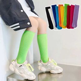 Kids Socks 1 Pair Knee High Sock for Kids Girls Korean Fashion Simplicity Solid Color Calf Sock for Children Boy Girl Striped Cotton Sock d240528